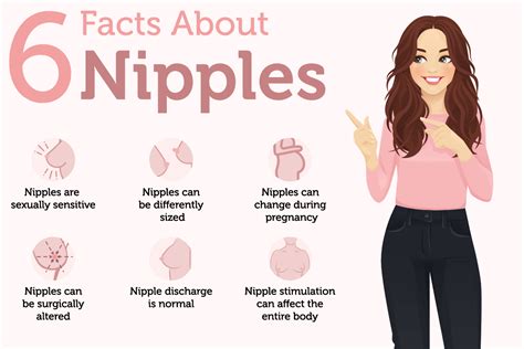 Areola of the nipples in pregnancy: photographic images